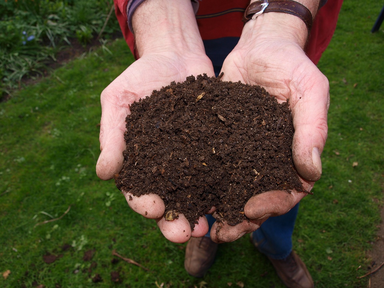 How to Compost Your Kitchen Scraps